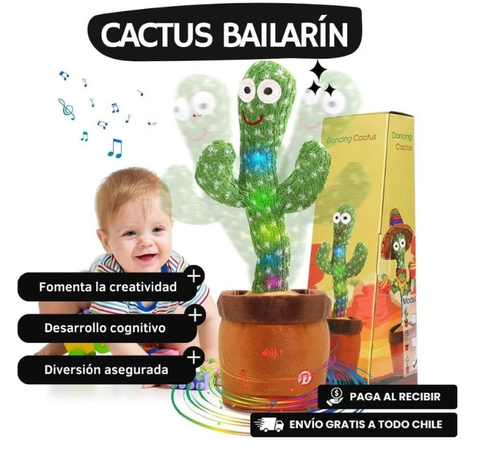 CACTUS BAILARÍN MUSICAL